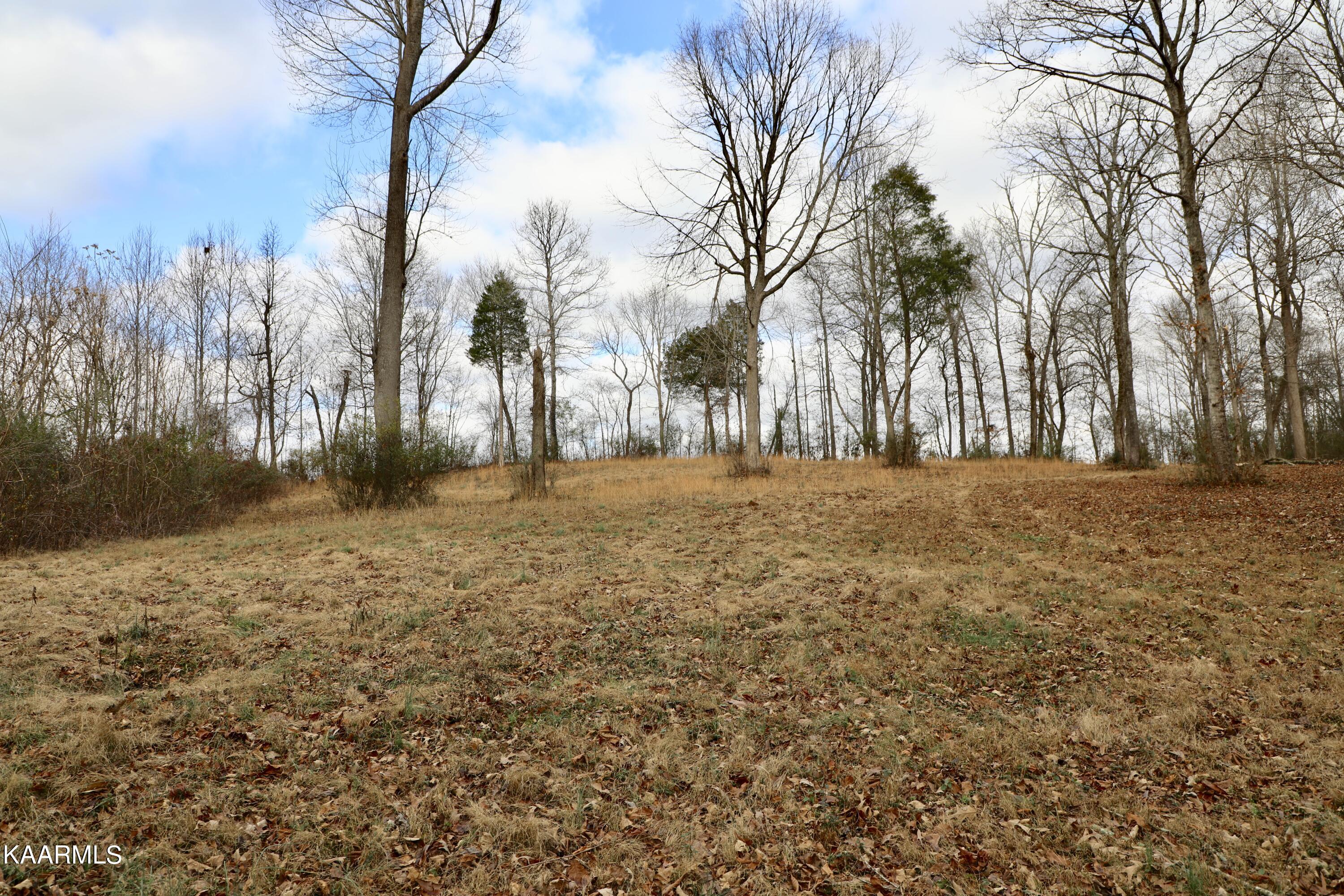 481 Randolph Fridley Road Sweetwater, TN 37874 - Photo 11 of 21 fullsizeoutput_3399