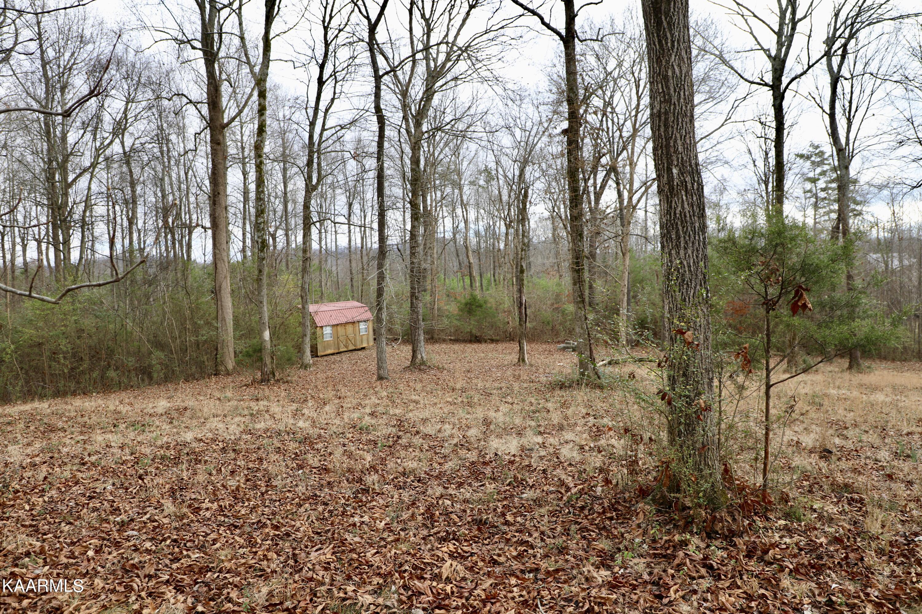 481 Randolph Fridley Road Sweetwater, TN 37874 - Photo 12 of 21 fullsizeoutput_338c