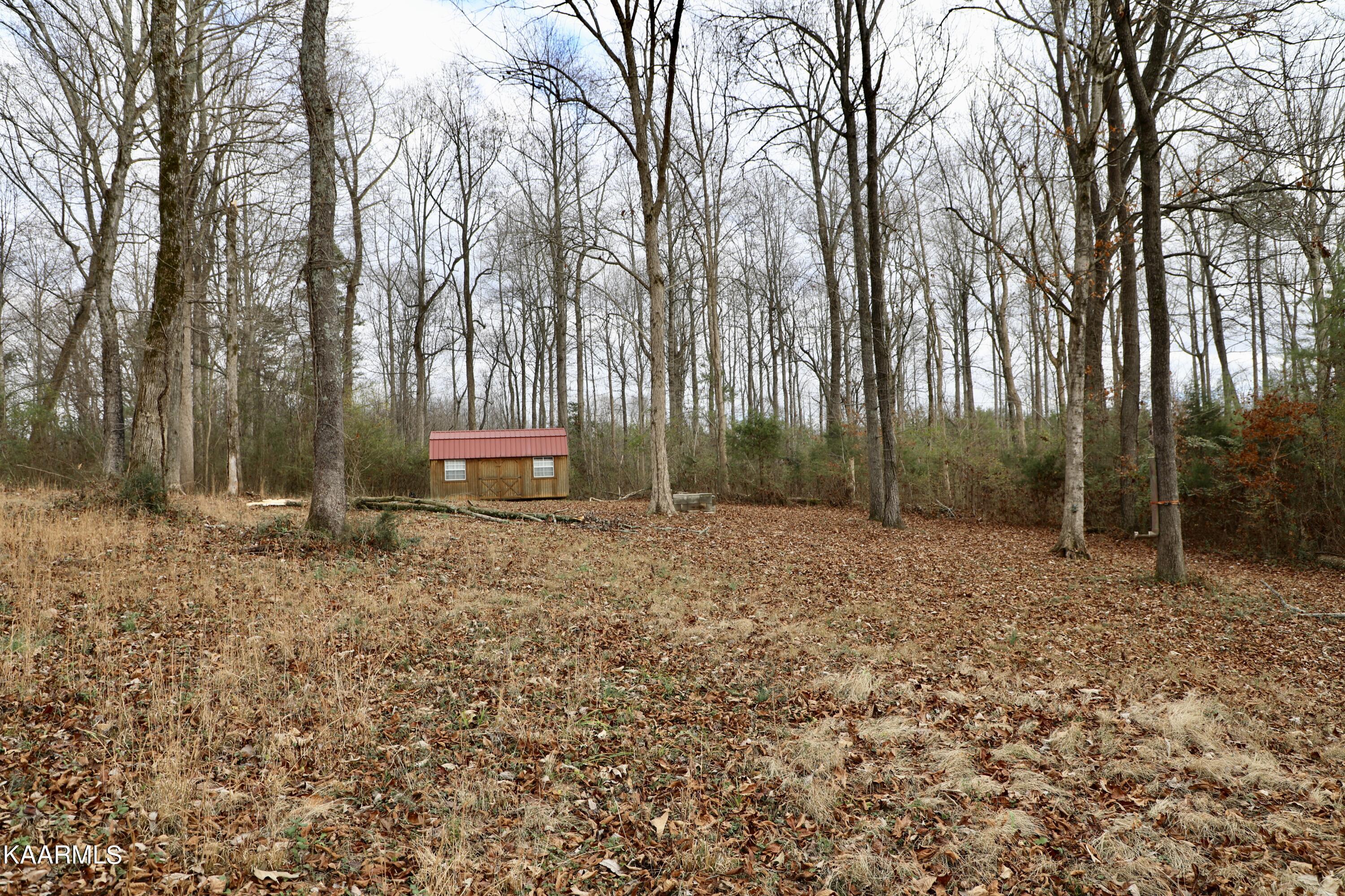 481 Randolph Fridley Road Sweetwater, TN 37874 - Photo 13 of 21 fullsizeoutput_339c