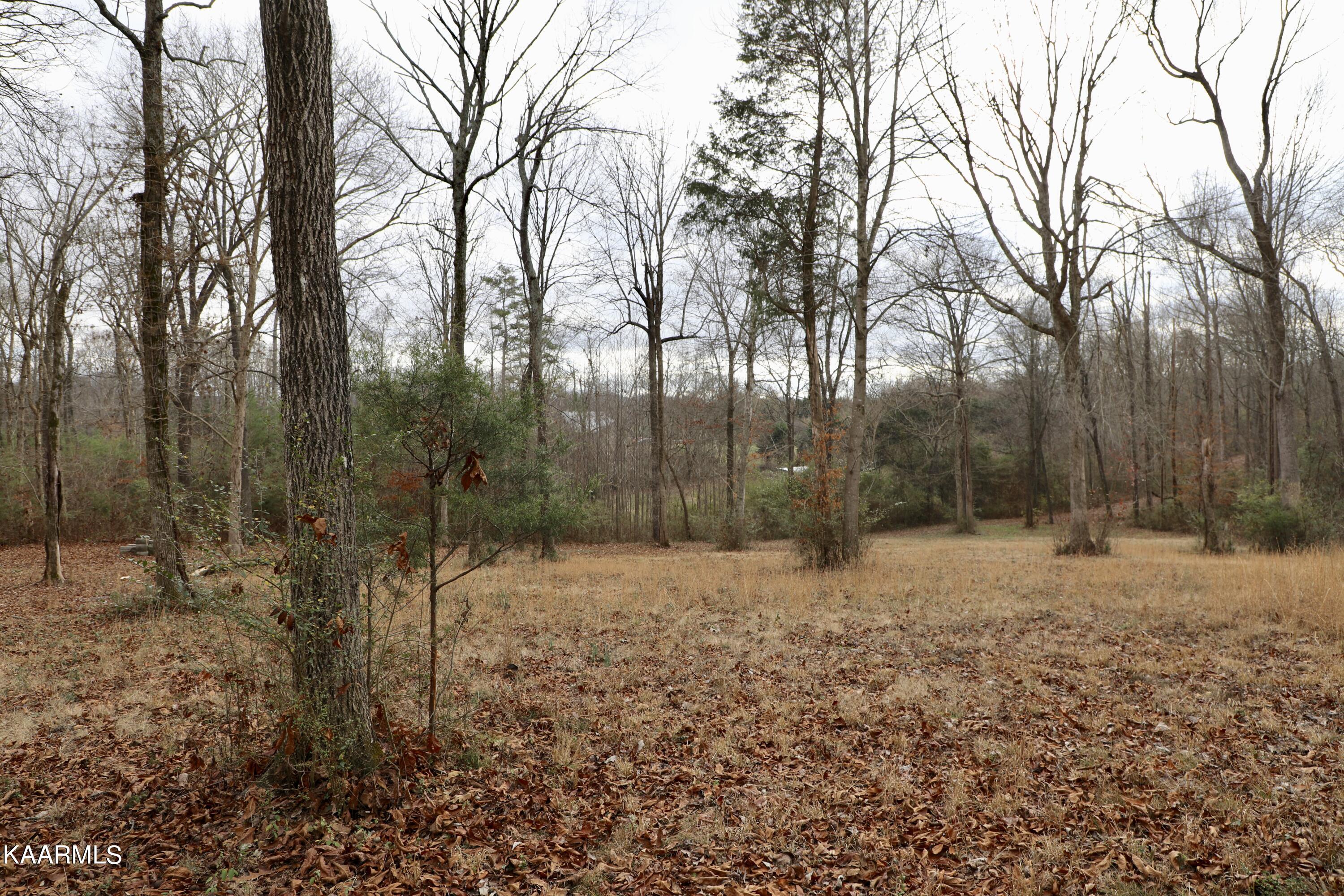 481 Randolph Fridley Road Sweetwater, TN 37874 - Photo 16 of 21 fullsizeoutput_338d