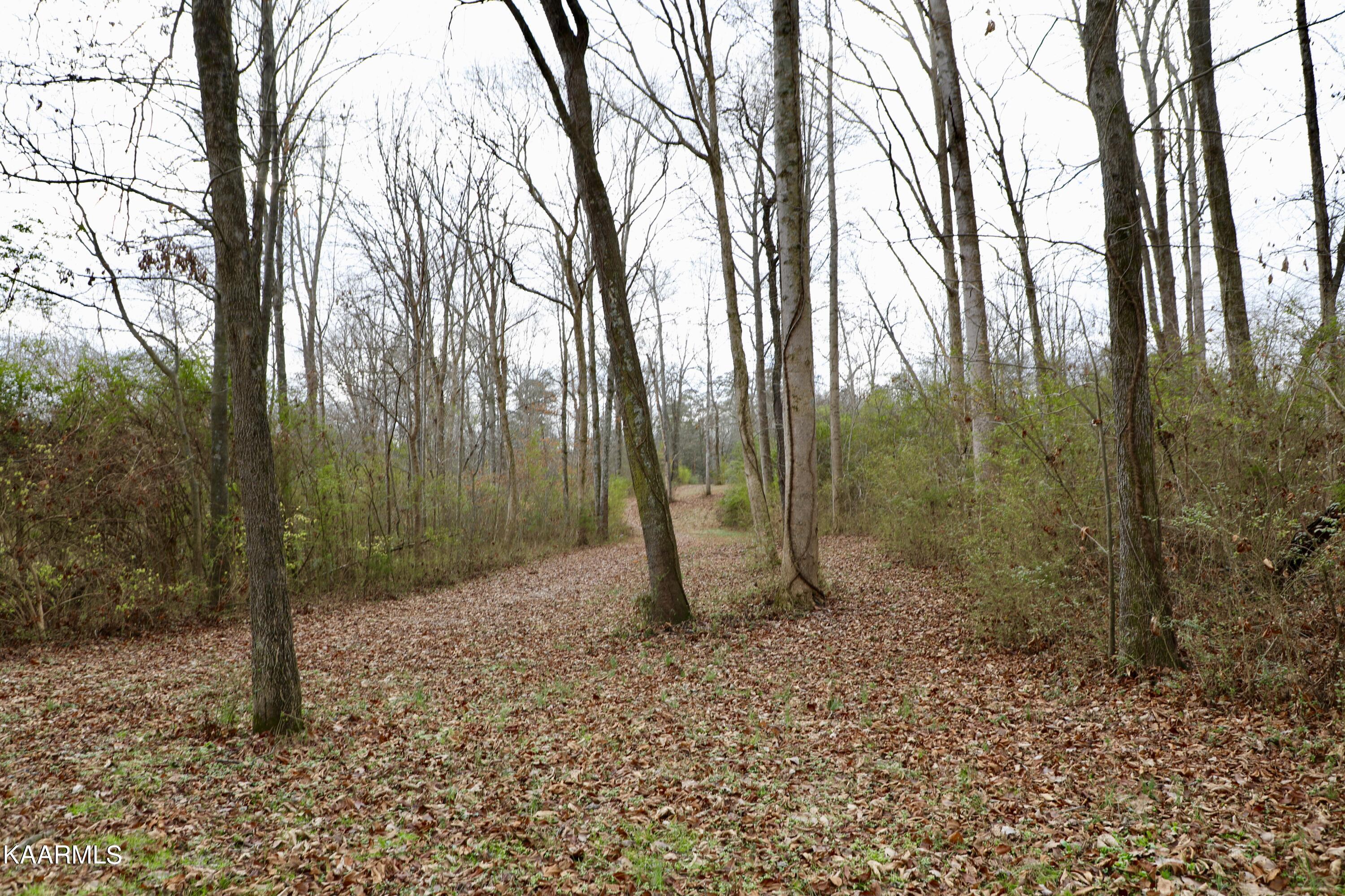 481 Randolph Fridley Road Sweetwater, TN 37874 - Photo 18 of 21 fullsizeoutput_33a1