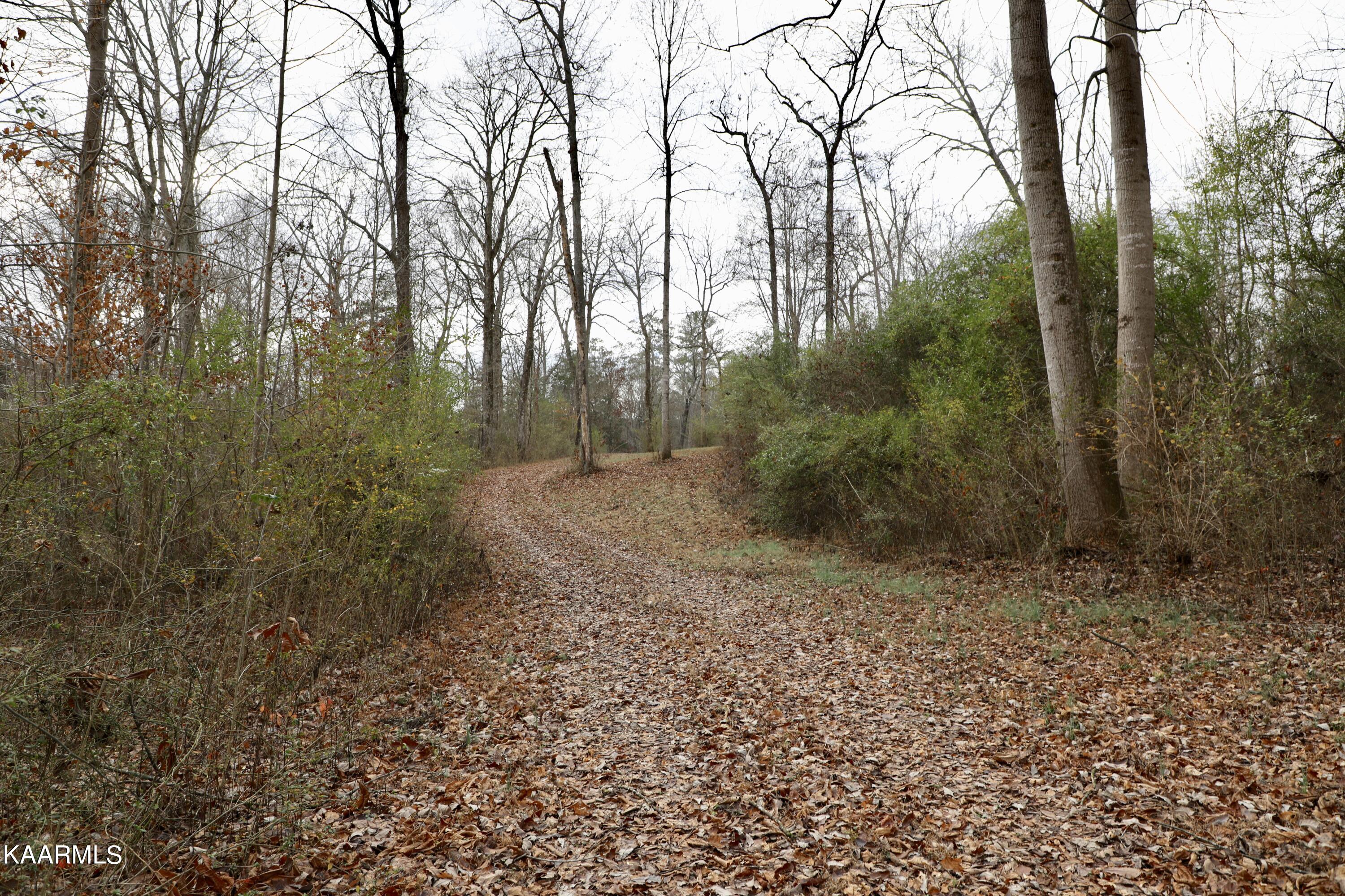 481 Randolph Fridley Road Sweetwater, TN 37874 - Photo 20 of 21 fullsizeoutput_33a0