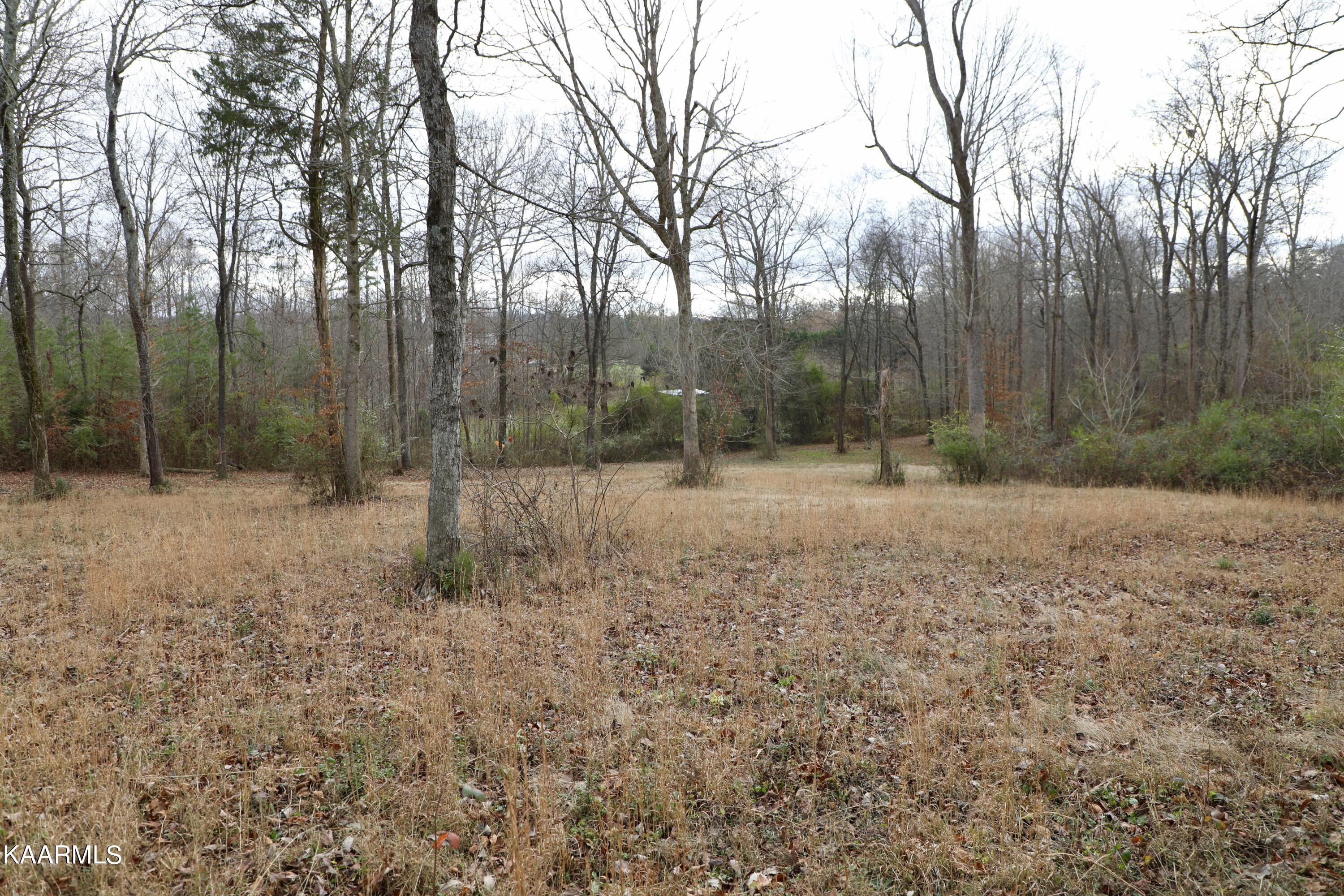 481 Randolph Fridley Road Sweetwater, TN 37874 - Photo 9 of 21 fullsizeoutput_33a3