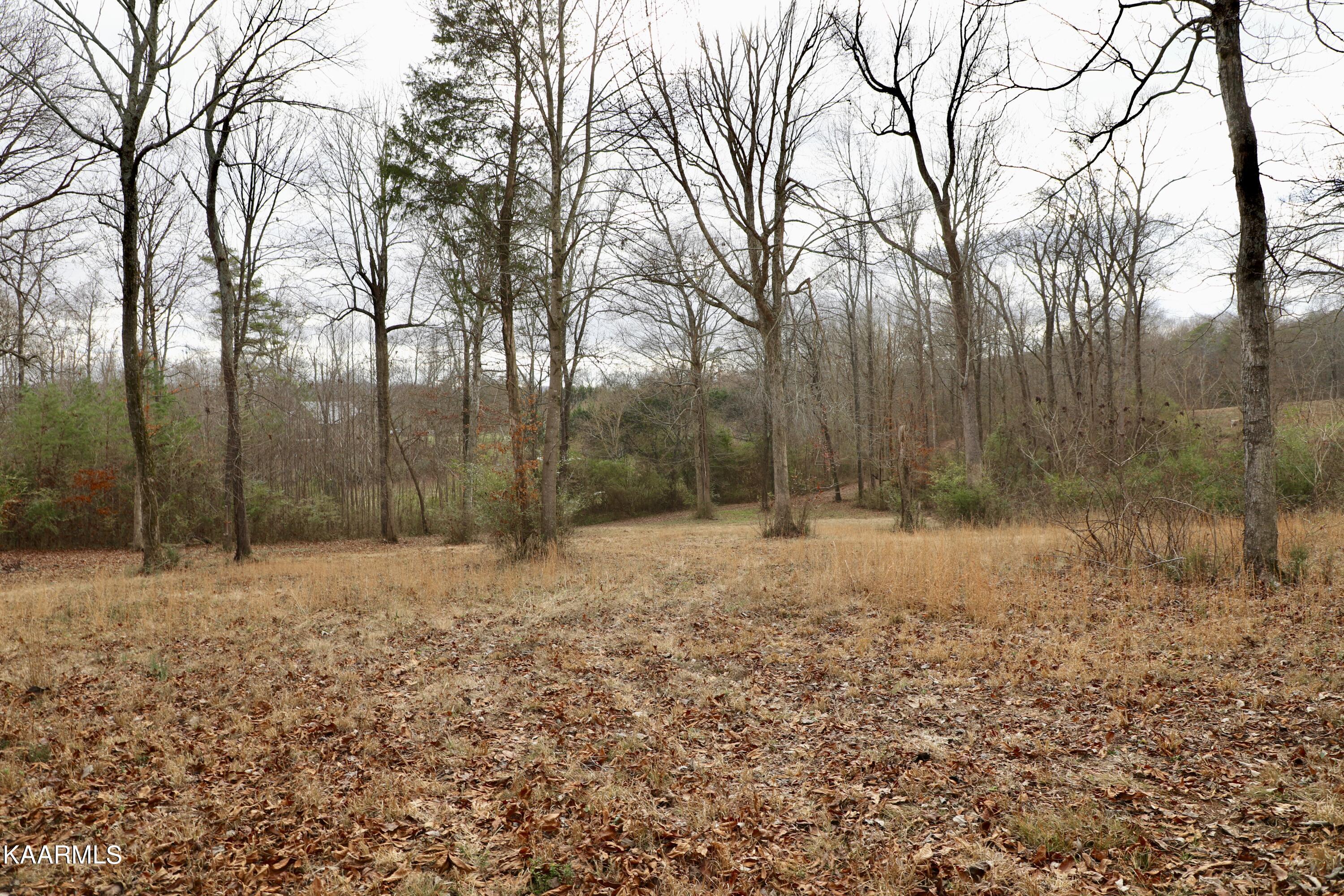 481 Randolph Fridley Road Sweetwater, TN 37874 - Photo 10 of 21 fullsizeoutput_33a2