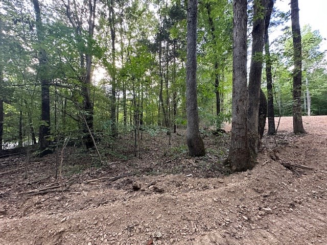 7 Sales Landing Road Camden, TN 38320 - Photo 12 of 32