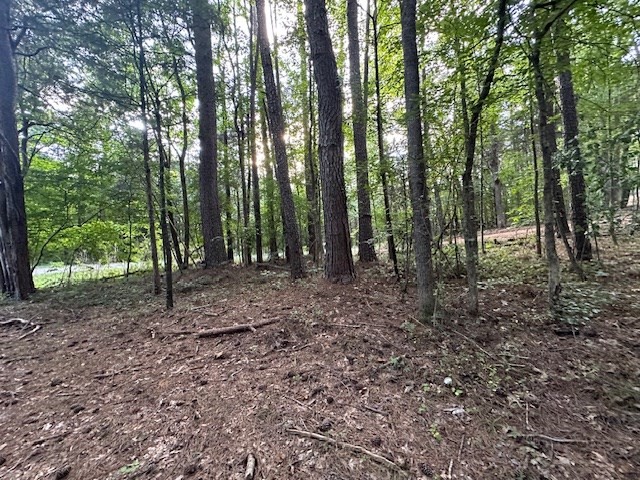 7 Sales Landing Road Camden, TN 38320 - Photo 20 of 32