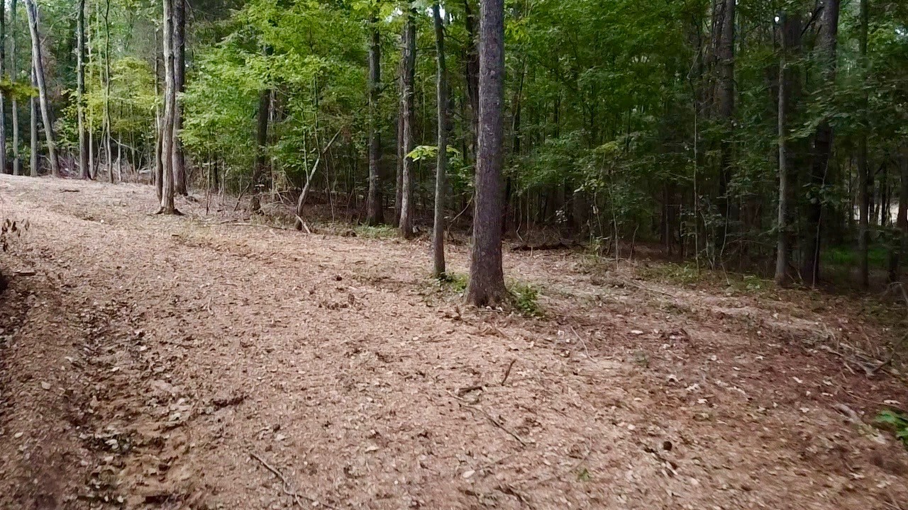 7 Sales Landing Road Camden, TN 38320 - Photo 27 of 32
