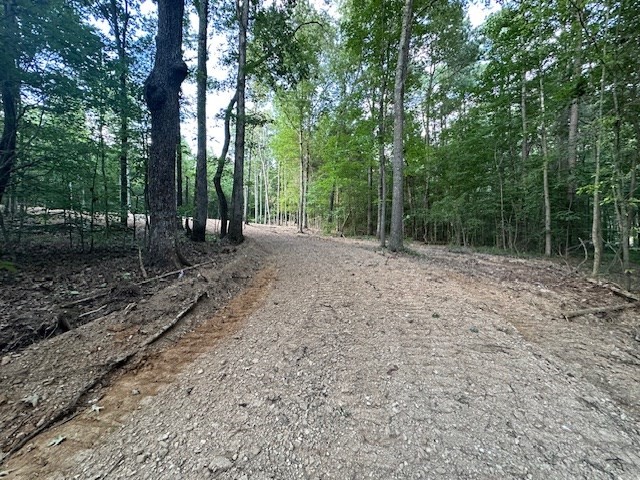 7 Sales Landing Road Camden, TN 38320 - Photo 3 of 32