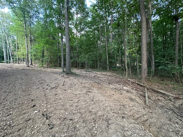 7 Sales Landing Road Camden, TN 38320 - Photo 5 of 32