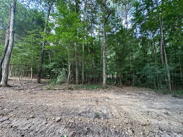 7 Sales Landing Road Camden, TN 38320 - Photo 7 of 32
