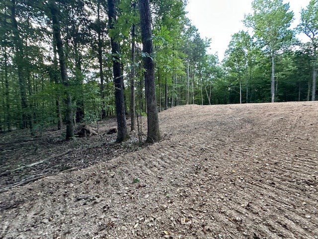 7 Sales Landing Road Camden, TN 38320 - Photo 8 of 32