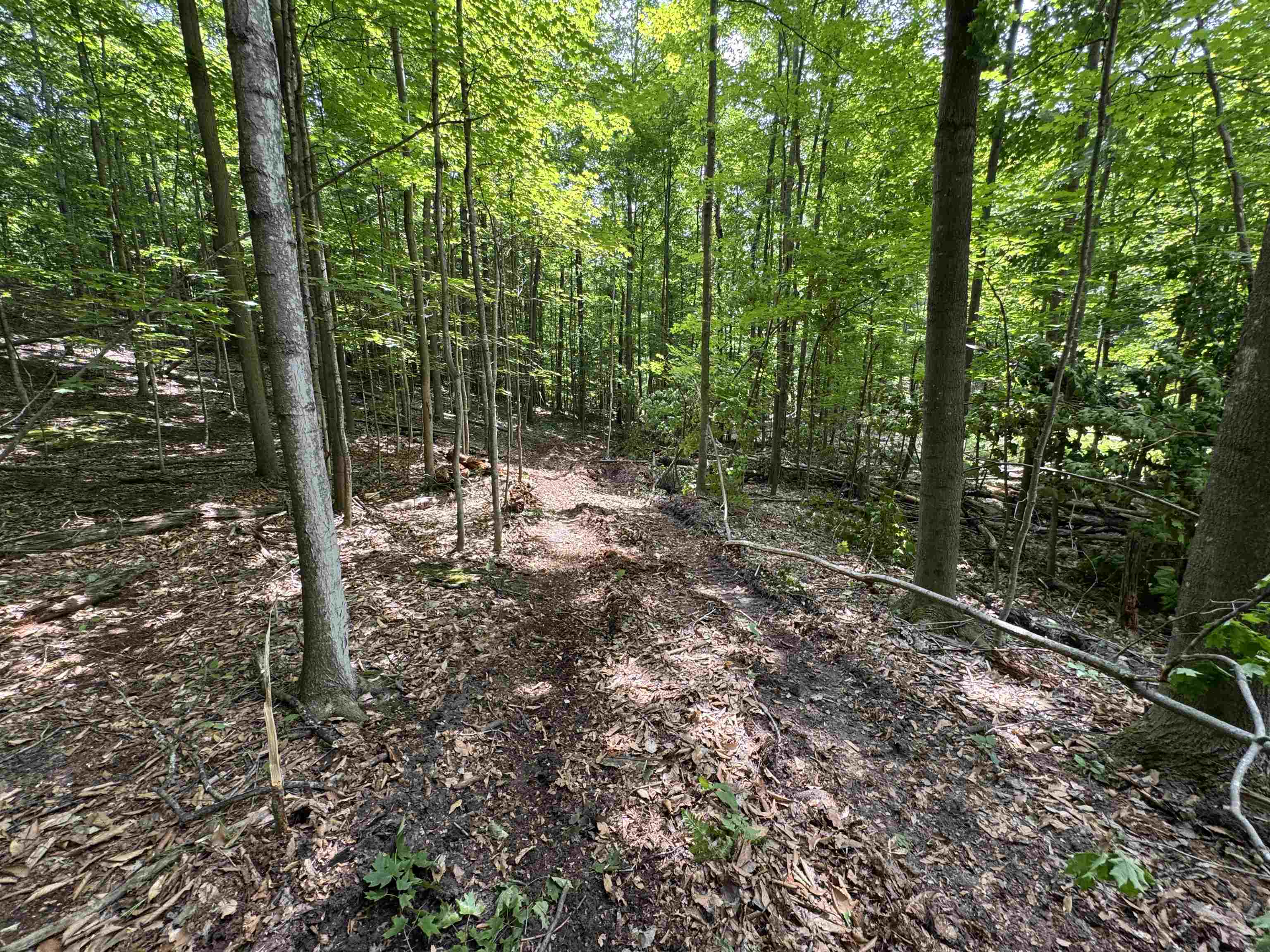 Lot #5 East Bellinger Road, Unit BELLINGER ESTATES LOT: 5 Cedar, MI 49621 - Photo 11 of 20