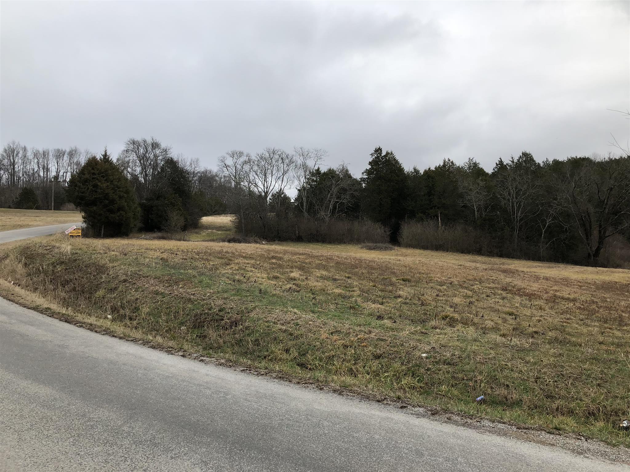 0 Hams Creek Road Pulaski, TN 38478 - Photo 3 of 3 View from Road