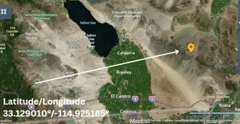 a view of a painting of a tree