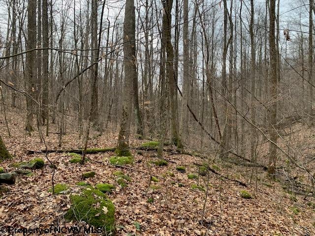 Tbd Tbd Reed Philippi, WV 26416 - Photo 14 of 18 Gallery Image 14
