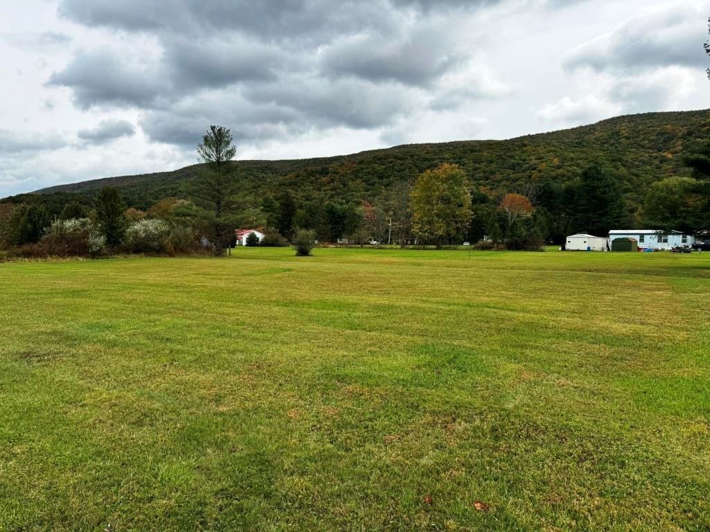 5700 Grapefield Road Bastian, VA 24314 - Photo 28 of 34 Gallery Image 28
