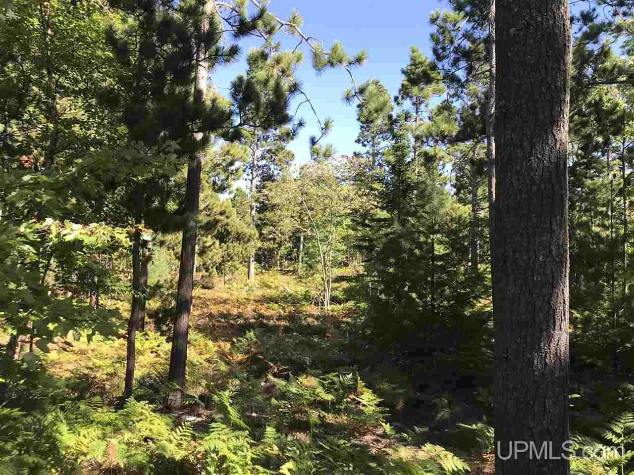 Tbd Five Mile Point Road, Unit 38 10 ACRES Allouez, MI 49805 - Photo 11 of 13