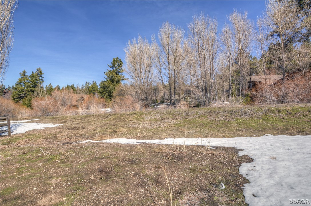 43574 Shasta Road Big Bear Lake, CA 92315 - Photo 31 of 37 a view of a yard with a tree