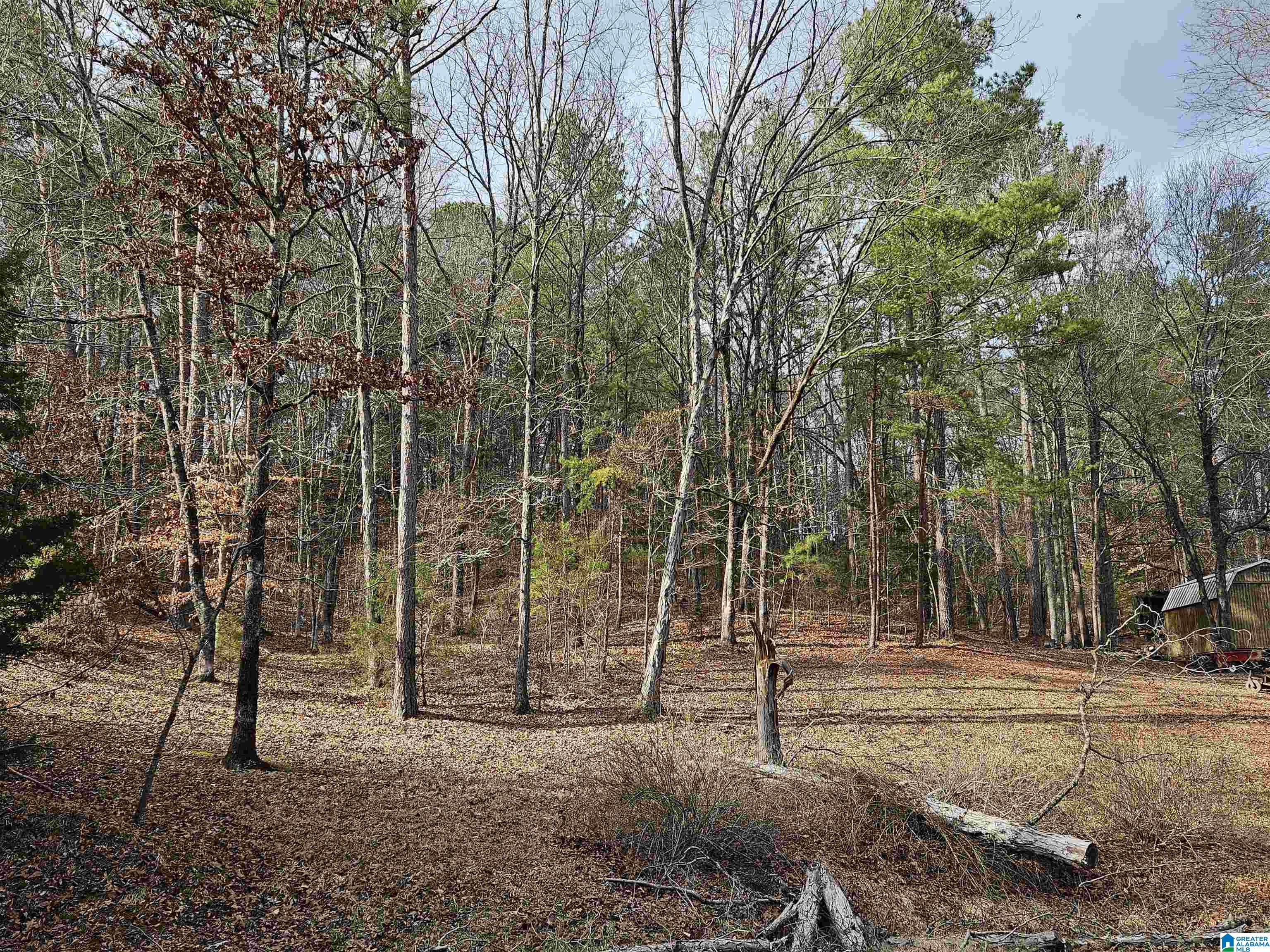 3250 Berrywood Road Pinson, AL 35126 - Photo 16 of 23