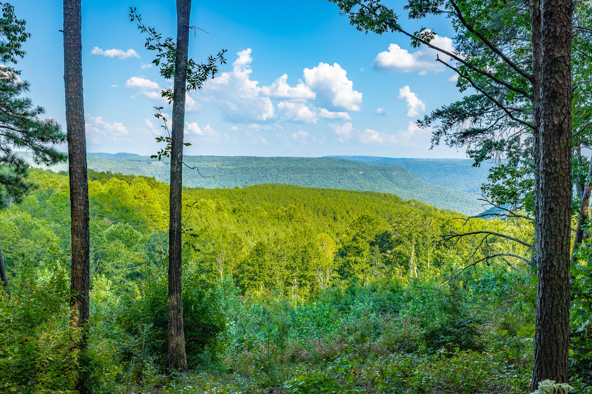 0 High Ground Road, Unit LOT 2218 Guild, TN 37340 - Photo 3 of 115 0 High Ground Road - Lot 2218 HD-77