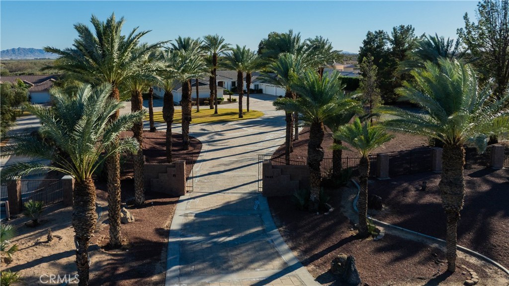 7645 Rio Vista Drive Big River, CA 92242 - Photo 2 of 56 Majestic Palms Line the Property
