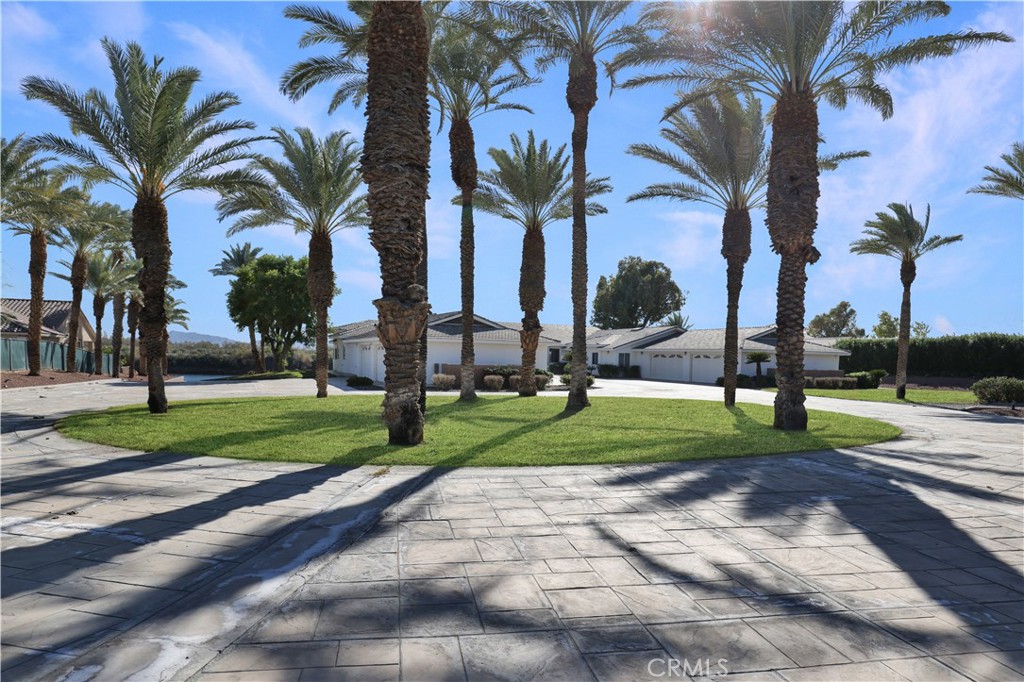 7645 Rio Vista Drive Big River, CA 92242 - Photo 55 of 56 a view of a park with palm trees