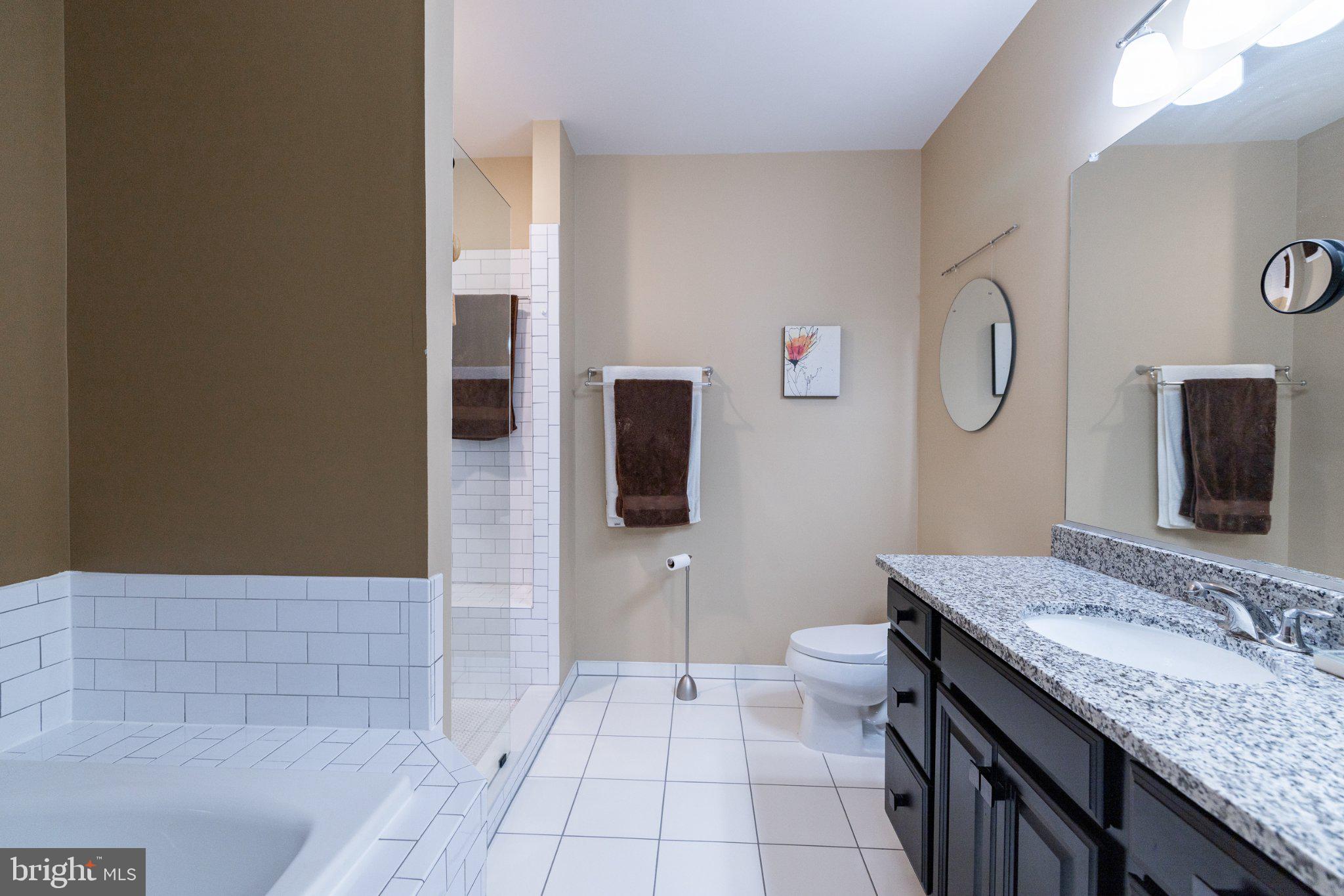 1414 Ribbon Limestone Terrace Southeast, Unit E204 Leesburg, VA 20175 - Photo 27 of 49 Elegant bathroom with modern finishes.