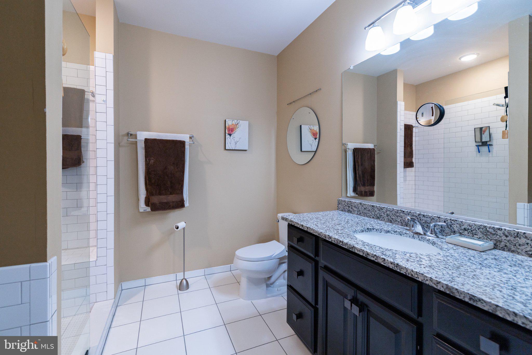 1414 Ribbon Limestone Terrace Southeast, Unit E204 Leesburg, VA 20175 - Photo 28 of 49 Modern bathroom with elegant finishes.