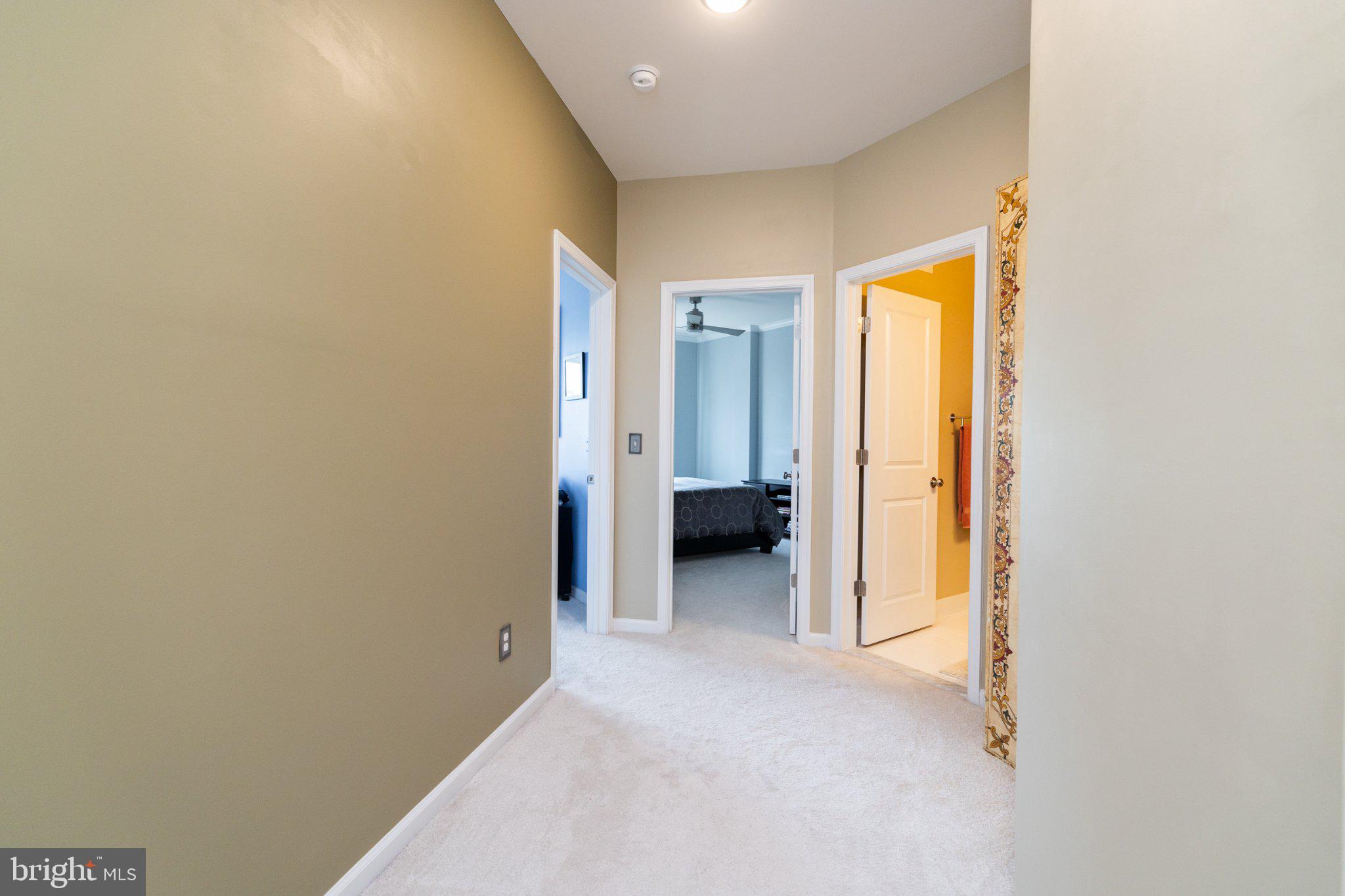 1414 Ribbon Limestone Terrace Southeast, Unit E204 Leesburg, VA 20175 - Photo 38 of 49 Inviting hallway with soft hues.