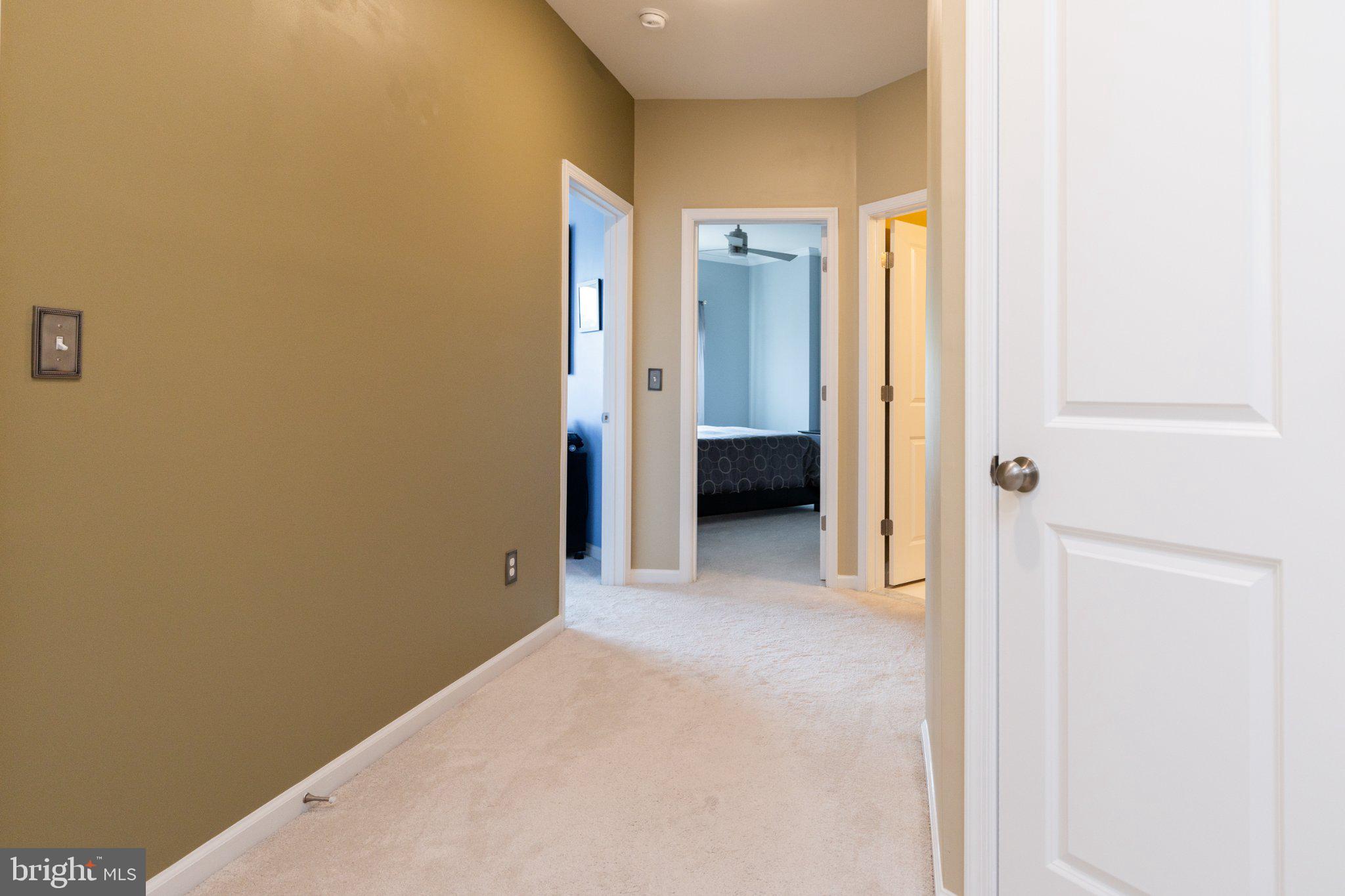 1414 Ribbon Limestone Terrace Southeast, Unit E204 Leesburg, VA 20175 - Photo 39 of 49 Inviting hallway with soft tones.