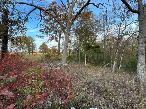 $129,900 | Tbd Tbd Ledbetter Hollow, Theodosia, MO 65761