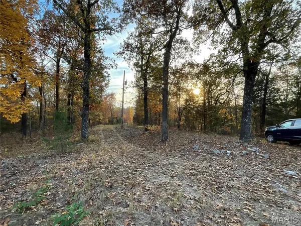 $129,900 | Tbd Tbd Ledbetter Hollow, Theodosia, MO 65761
