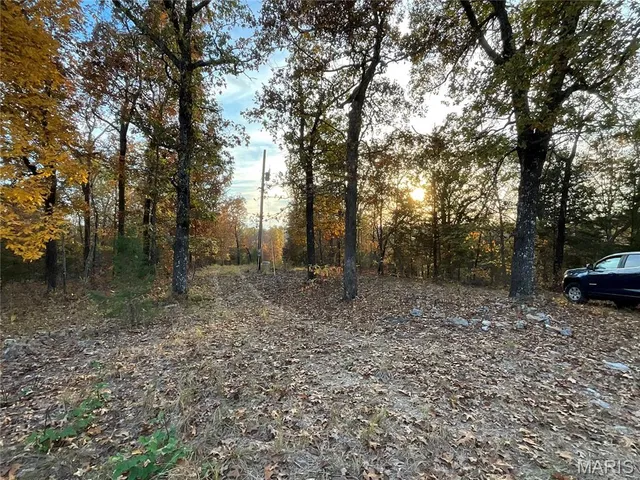 $129,900 | Tbd Tbd Ledbetter Hollow, Theodosia, MO 65761