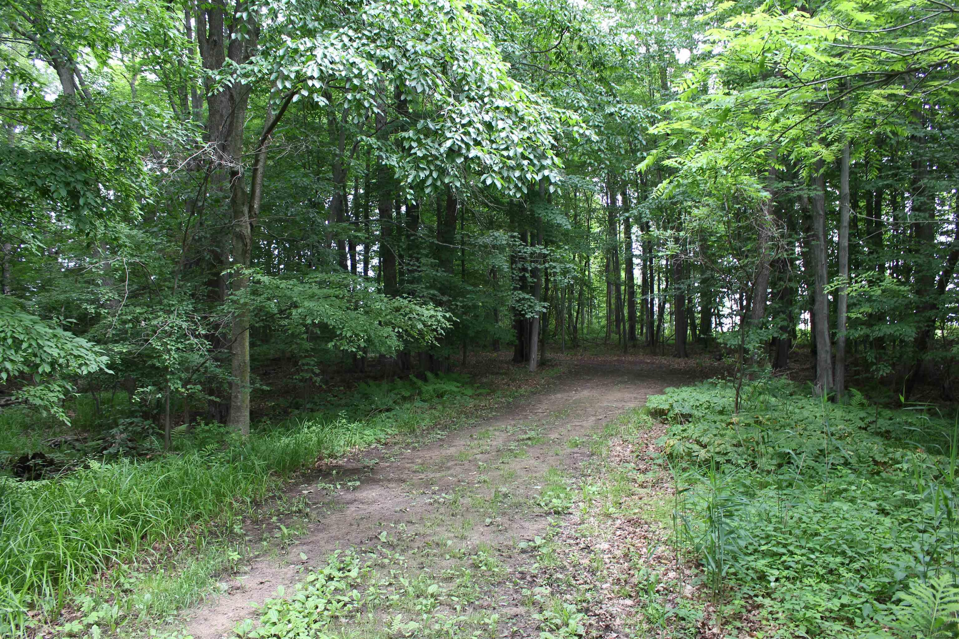 Tbd West Burnside Road Otter Lake, MI 48464 - Photo 5 of 6