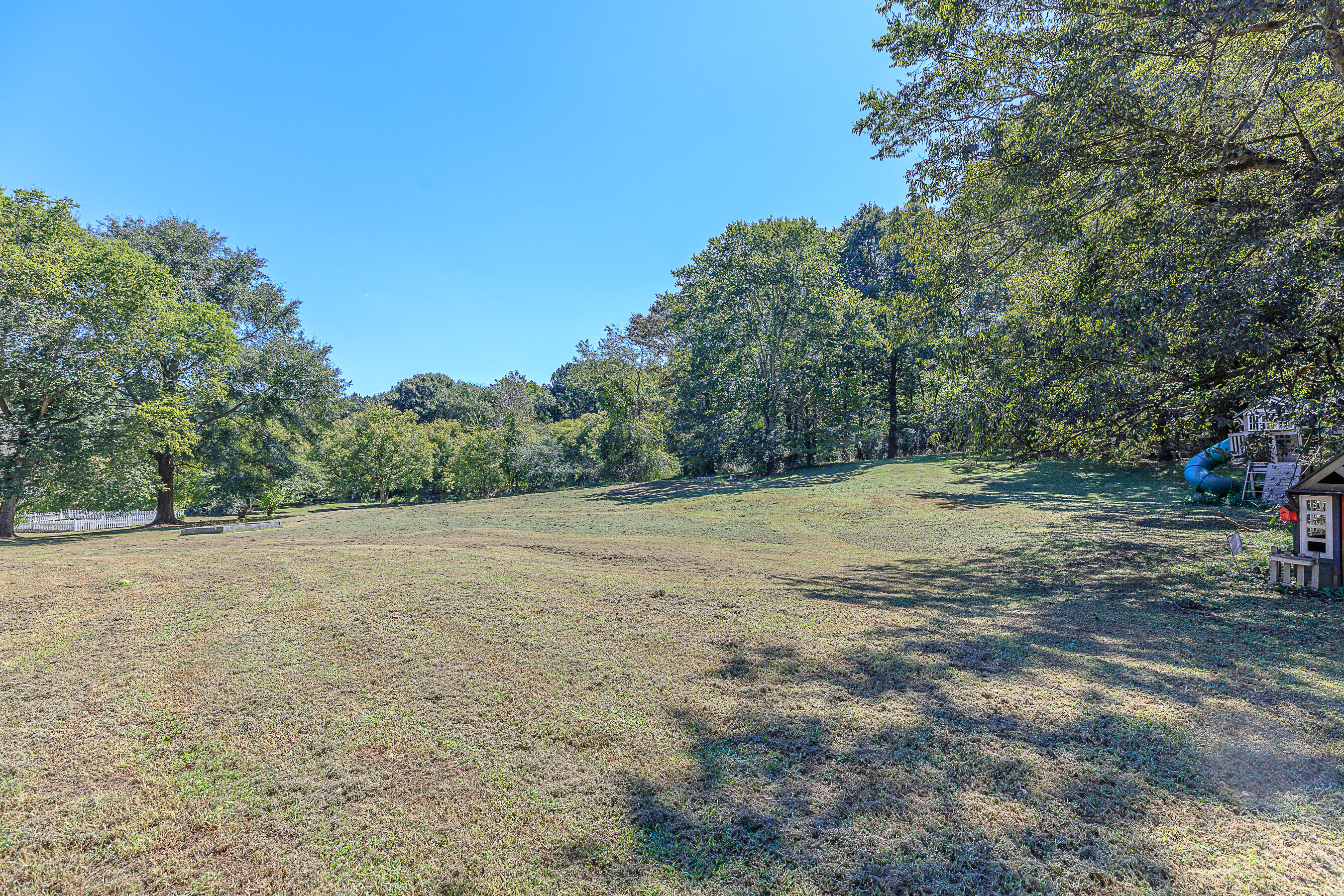 164 Pine Street Trion, GA 30753 - Photo 53 of 55 164 Pine St HD-16