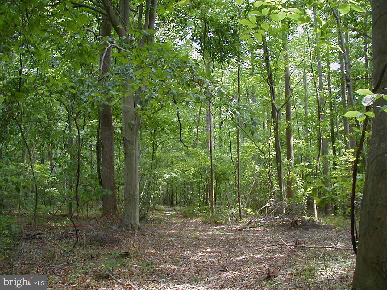 10711 Cross Rd Trail Brandywine, MD 20613 - Photo 2 of 7 Exterior (General)