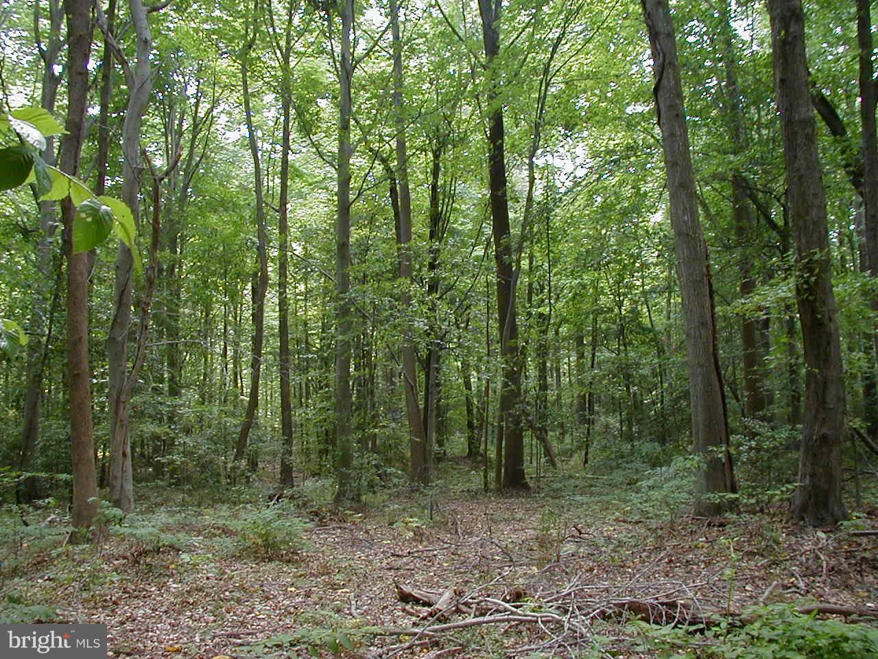 10711 Cross Rd Trail Brandywine, MD 20613 - Photo 3 of 7 Exterior (General)