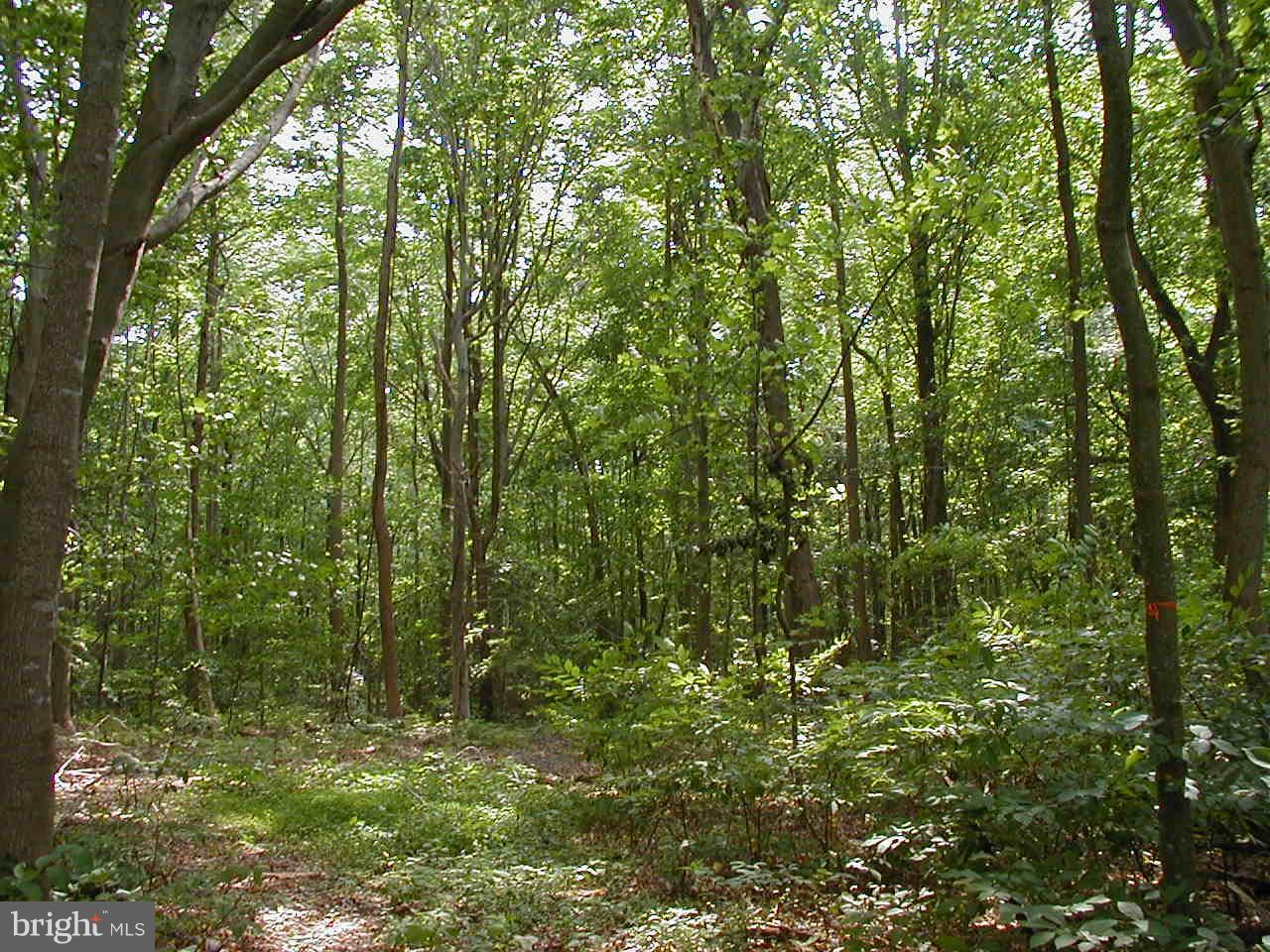 10711 Cross Rd Trail Brandywine, MD 20613 - Photo 4 of 7 Exterior (General)