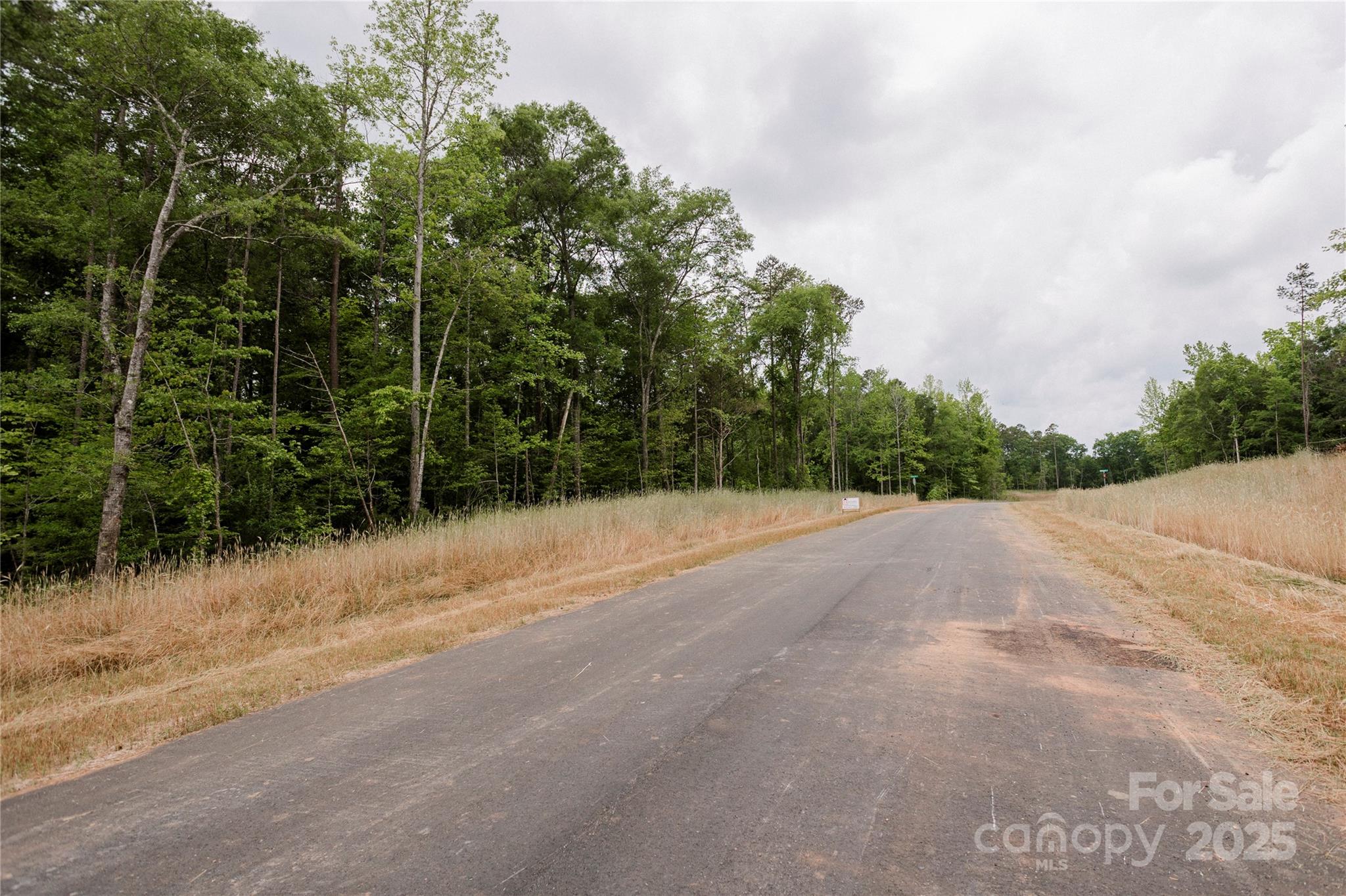 689 American Bittern Way Clover, SC 29710 - Photo 11 of 20 Gallery Image 11