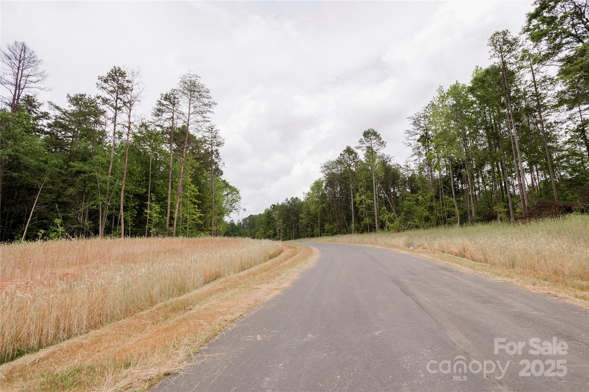 689 American Bittern Way Clover, SC 29710 - Photo 12 of 20 Gallery Image 12