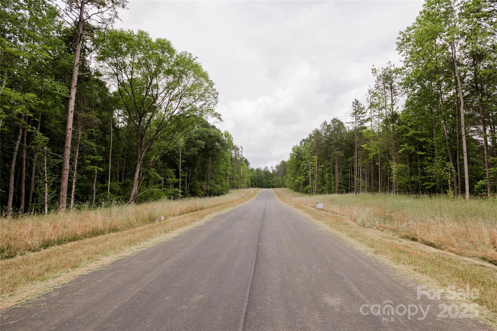 689 American Bittern Way Clover, SC 29710 - Photo 13 of 20 Gallery Image 13