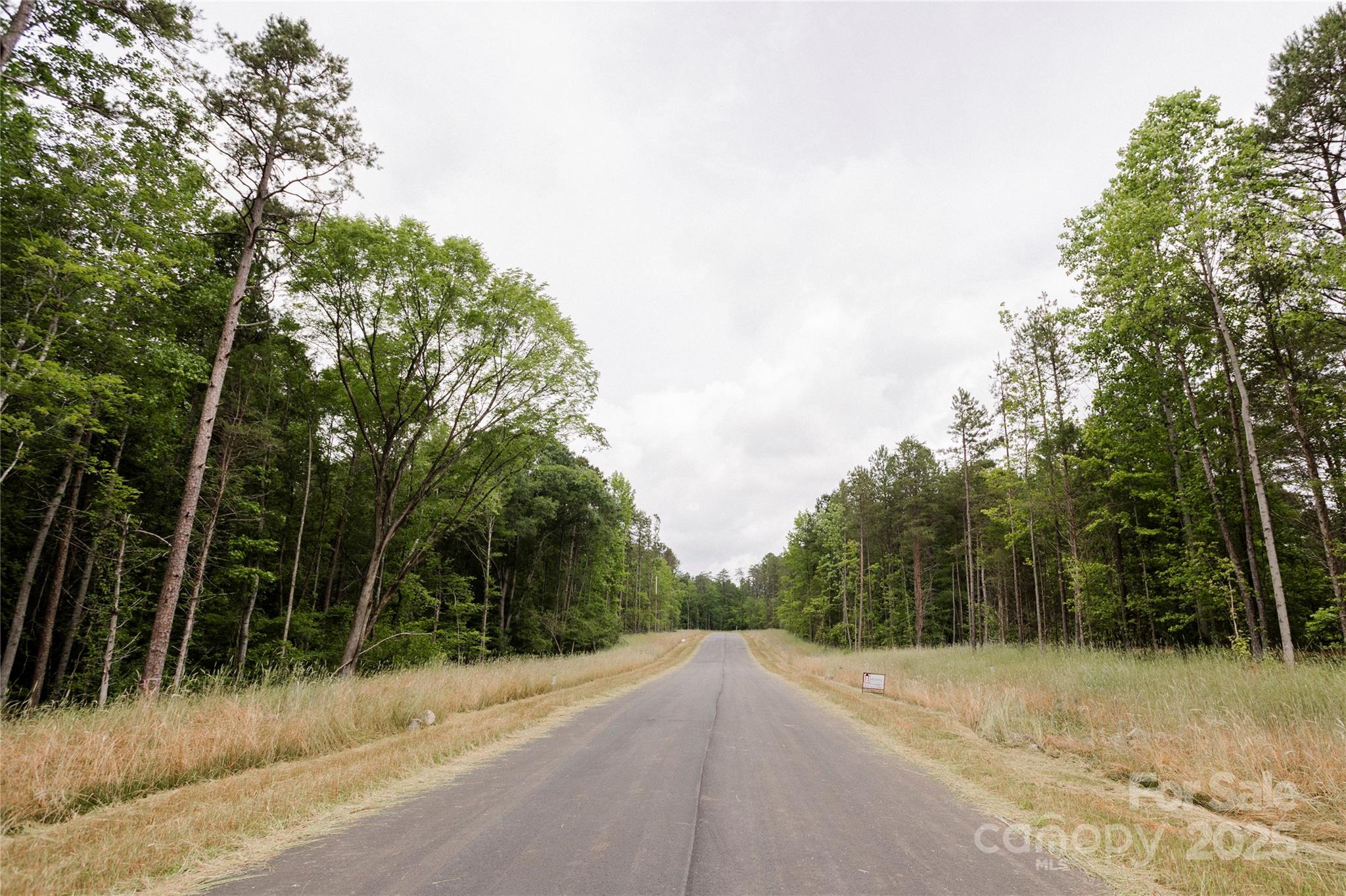 689 American Bittern Way Clover, SC 29710 - Photo 14 of 20 Gallery Image 14