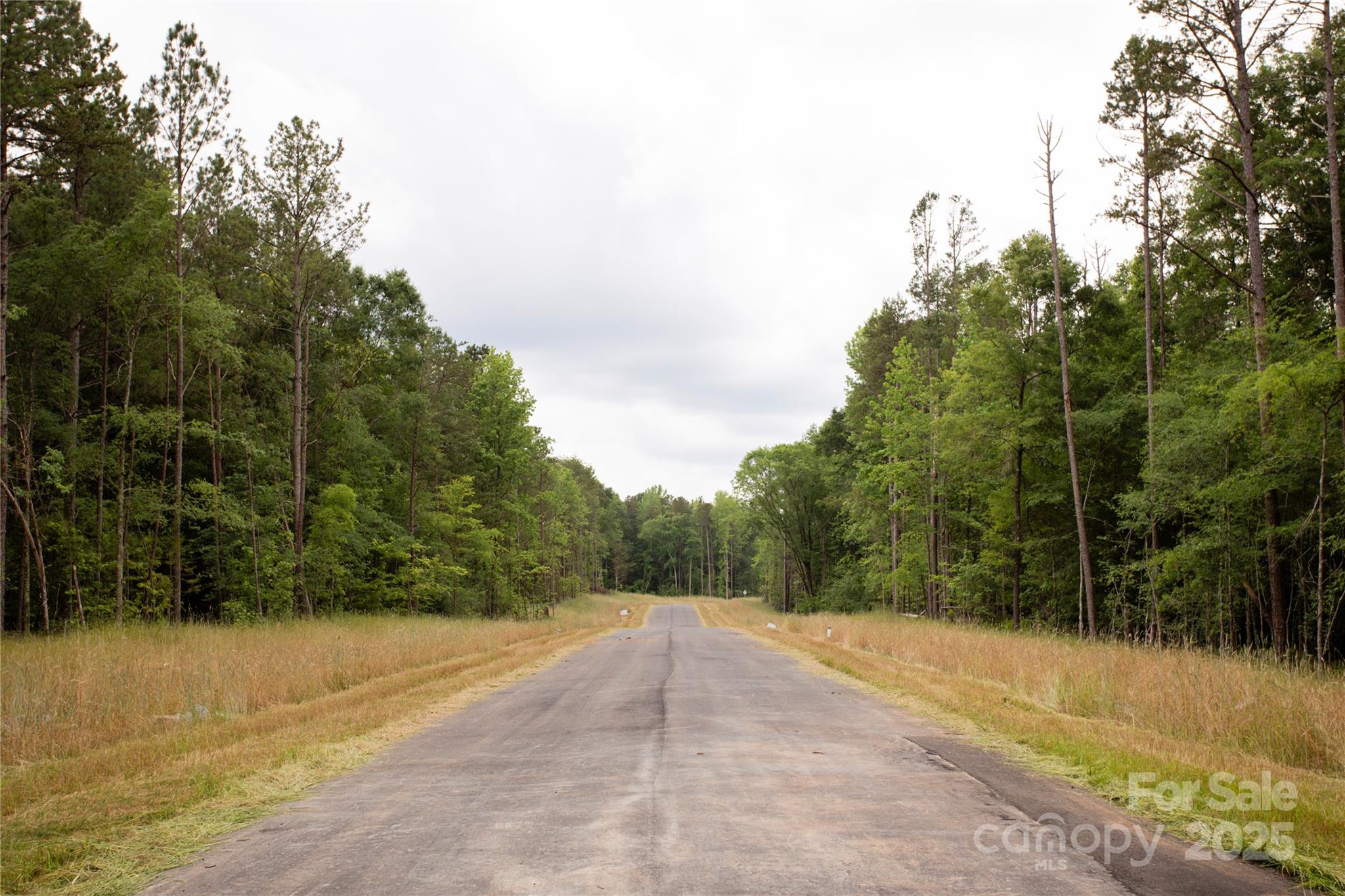 689 American Bittern Way Clover, SC 29710 - Photo 15 of 20 Gallery Image 15