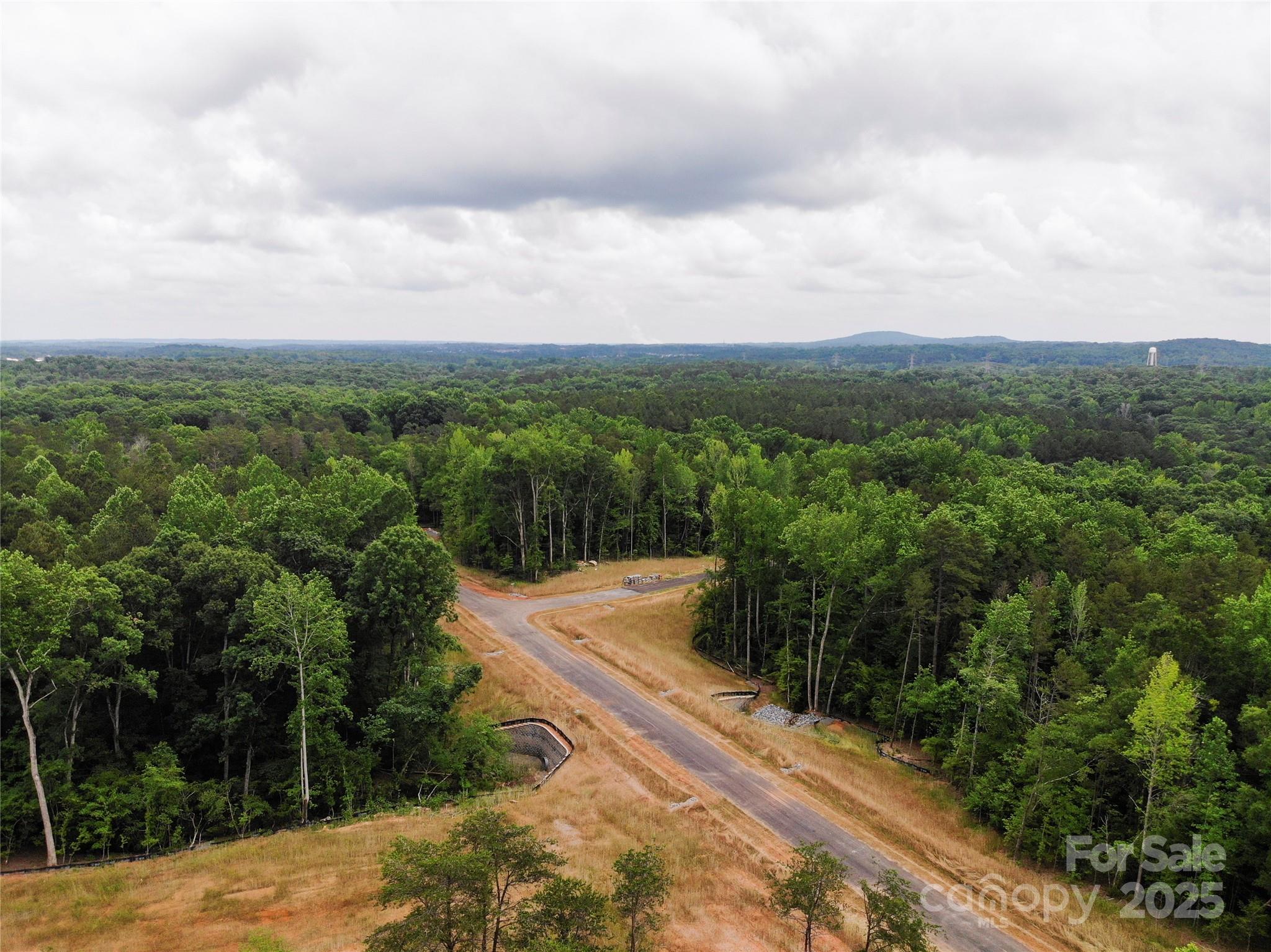 689 American Bittern Way Clover, SC 29710 - Photo 4 of 20 Gallery Image 4