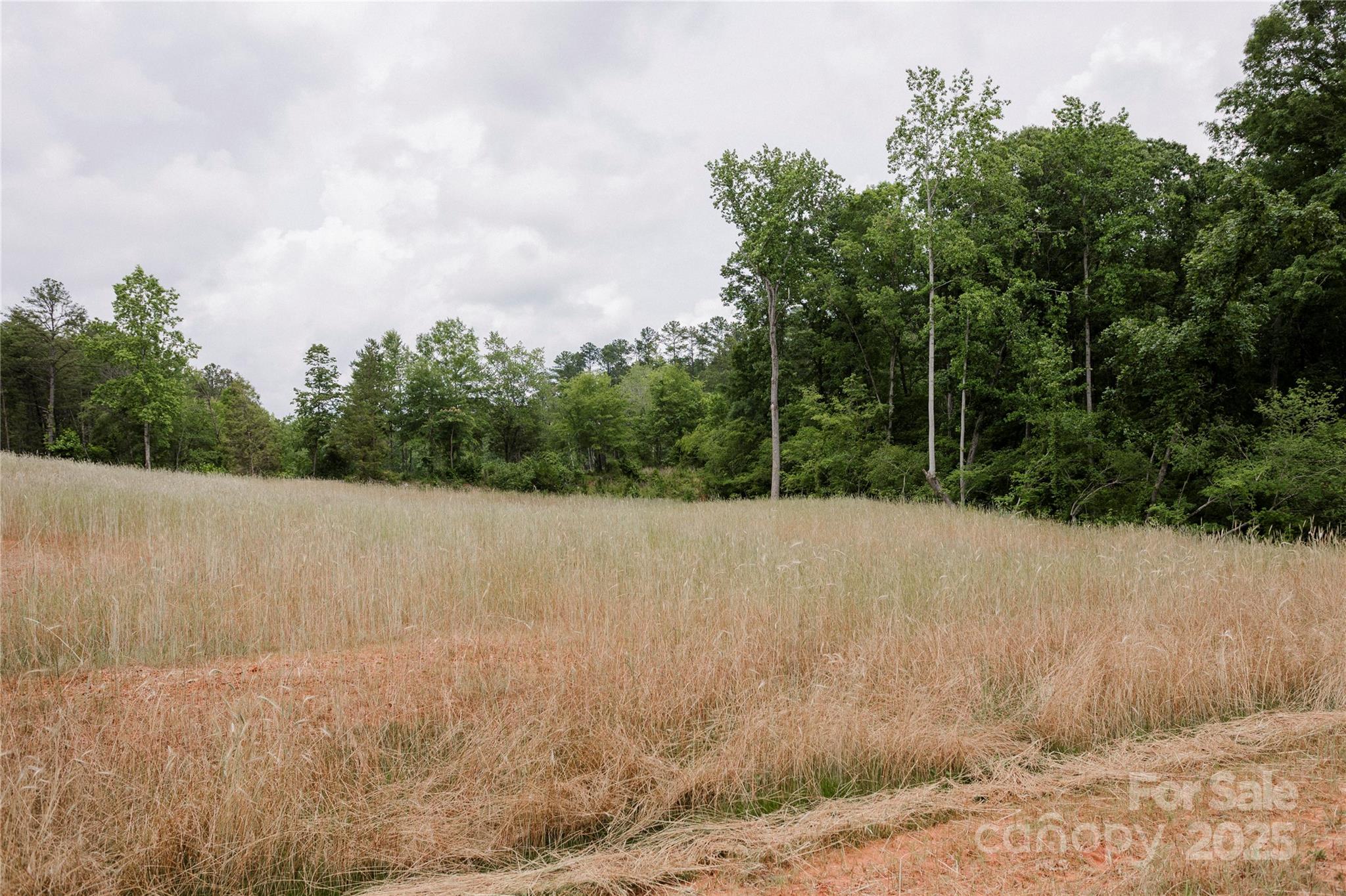 689 American Bittern Way Clover, SC 29710 - Photo 8 of 20 Gallery Image 8