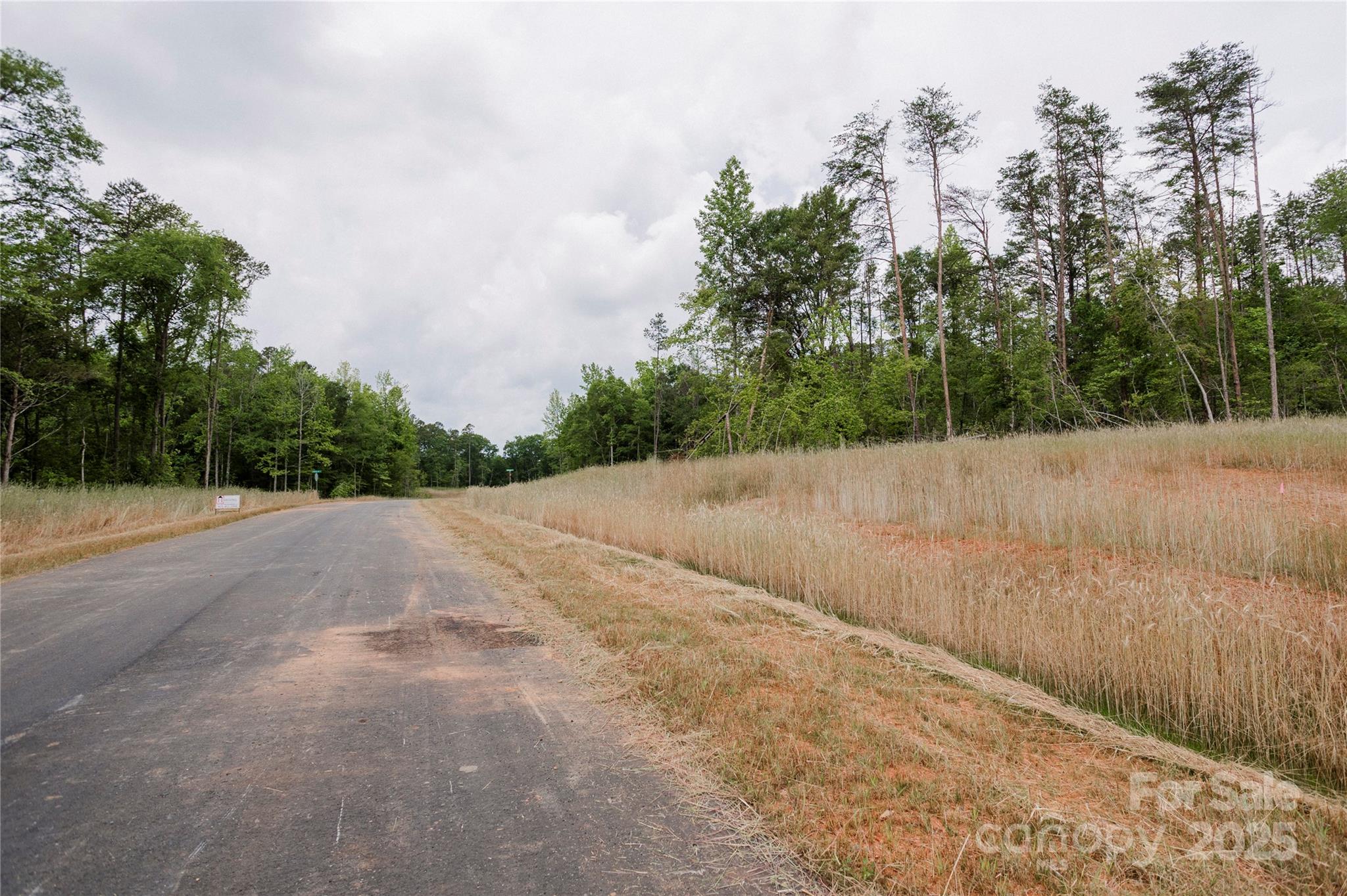 689 American Bittern Way Clover, SC 29710 - Photo 10 of 20 Gallery Image 10