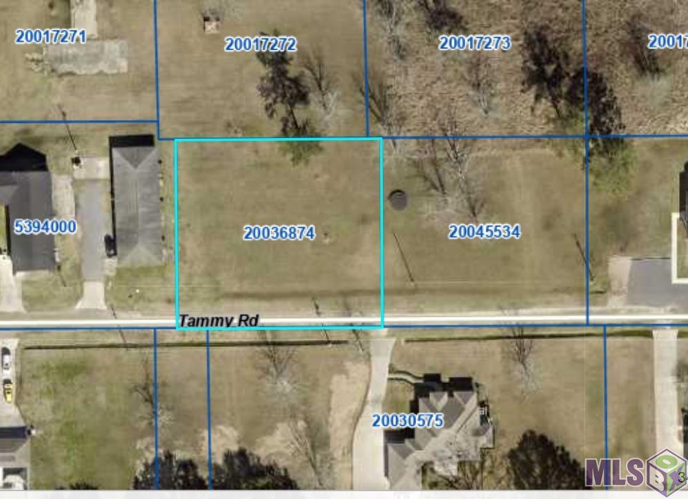 0 Tammy Road Prairieville, LA 70769 - Photo 10 of 10 Gallery Image 10