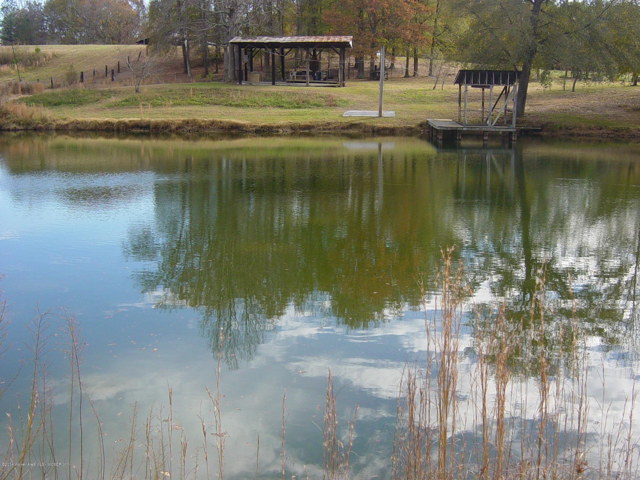 151 Wright Road Jasper, AL 35501 - Photo 3 of 9 Gallery Image 3