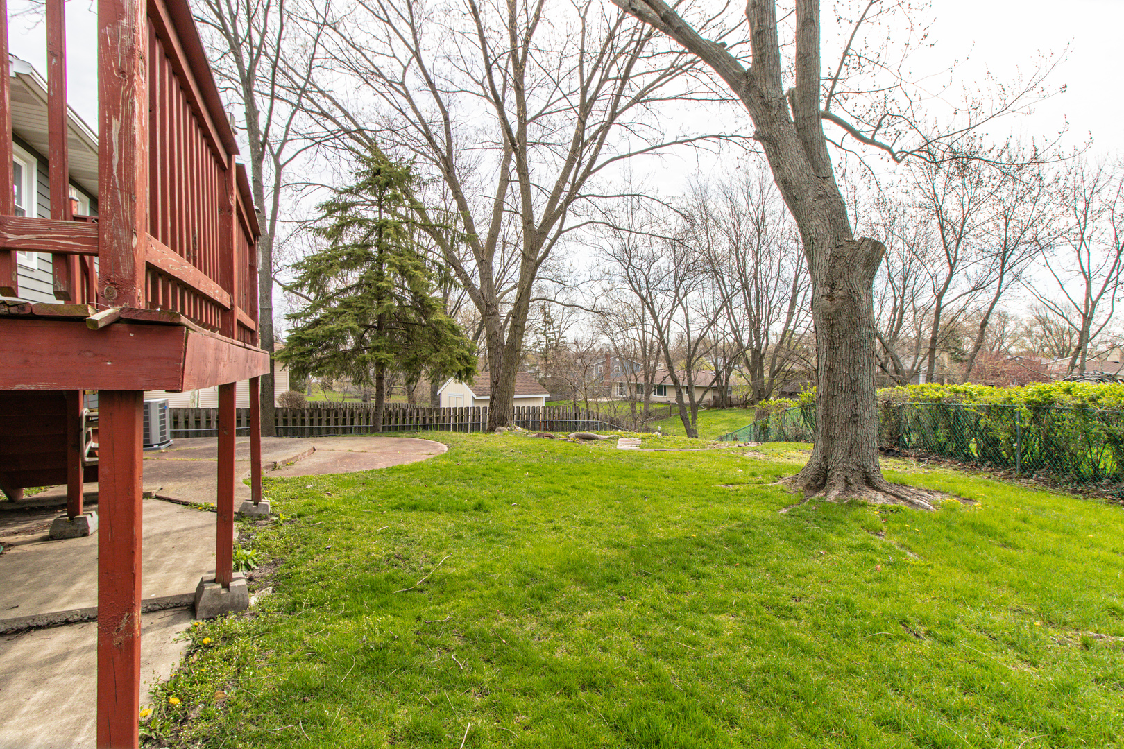 825 Freeman Road Hoffman Estates, IL 60192 - Photo 30 of 30 a view of backyard with tree