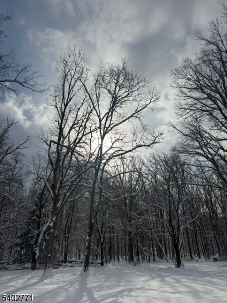 347 Zion Road Hillsborough, NJ 08844 - Photo 25 of 25